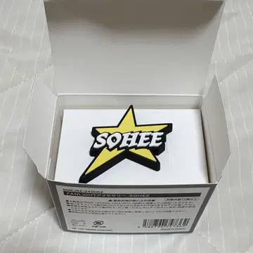 RIIZE 소희 FANLIGHT 액세서리 펜라 액세서리