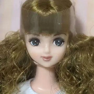 엄선 2014년 일본바시 BASIC 제니 프렌드 H-V2 리카짱 캐슬