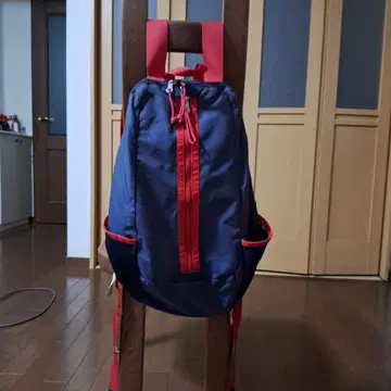 에네스베 백팩