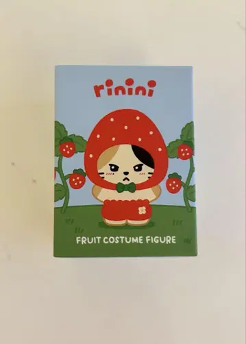 zeroni rinini 리니니 후르츠 코스튬 피규어