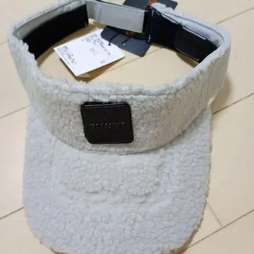 브리핑 바이저 미사용