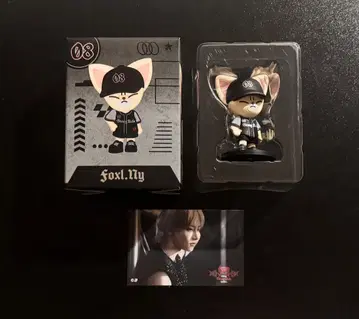stray kids IN FIGURE 아이엔 피규어