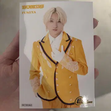 EBiDAN MUSEUM 2025 입장 혜택 BUDDiiS FUMIYA