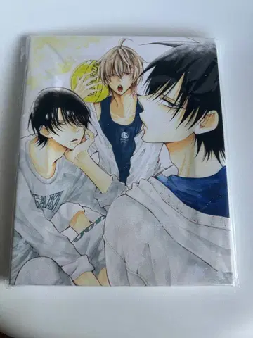 캐릭터 파인 보드 건방진 절정 미유키 미츠바치