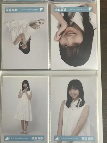 후지시마 카호 브로마이드 컴프 절대적 제6감 자켓 사진