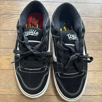 vans tnt2 us10.5