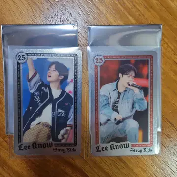 Straykids 랜덤 라이브 포토 카드 리노 dominATE