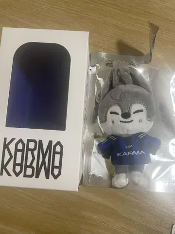 스키즈 KARMA 스키즈 버전 울프 찬