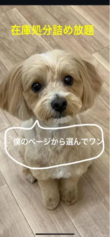 재고 처분 담아 가세요