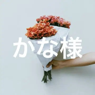 카나 님