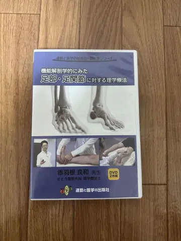DVD 기능 해부학적으로 본 발부 발목에