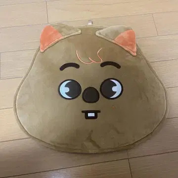 straykids 한지성 부채 커버