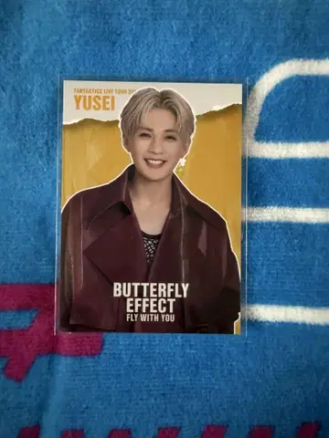 야기 유세이 포토 카드 시크릿