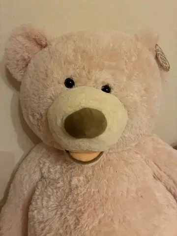 코스트코 곰 봉제 인형 라이트 핑크 134cm