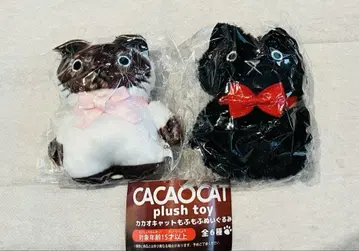 [샴, 마스터] CACAOCAT 카카오캣 복슬복슬 봉제 인형