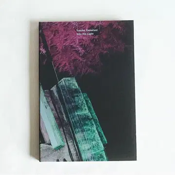 [ Into the Light ] 야마타니 유스케