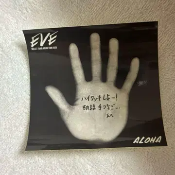 초특급 EVE 하와이안 스티커