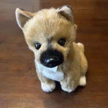개 봉제 인형 리얼 일본제 SHIKI orijinal