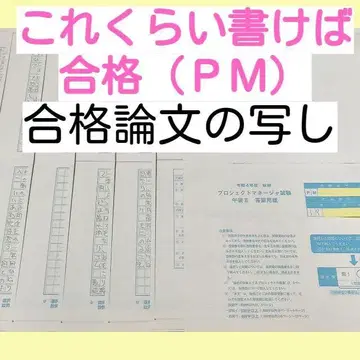 정보 처리 기술자 시험 (PM) 합격 논문 사본