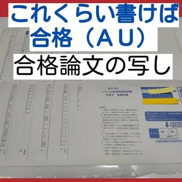 정보 처리 기술자 시험 (AU) 합격 논문 사본