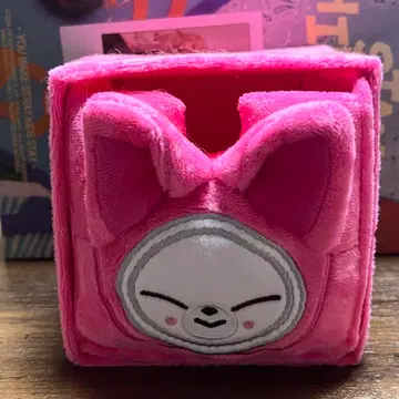 straykids 스키즈 skzoo 폭시니 아이엔 수납 박스