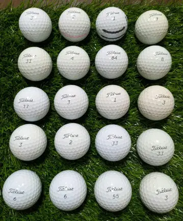 타이틀리스트 PRO V1 골프공 로스트볼