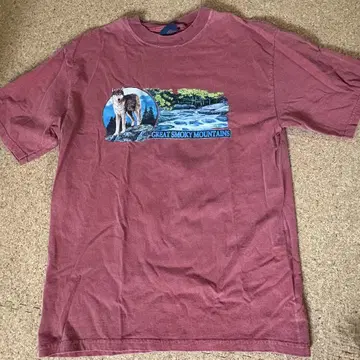 90's vintage 그레이트 스모키 산맥 T셔츠 sizesL