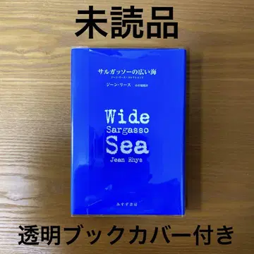 사가소의 넓은 바다