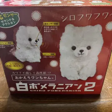 어서 와 강아지 화이트 포메라니안 2
