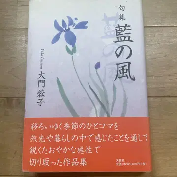 남색의 바람