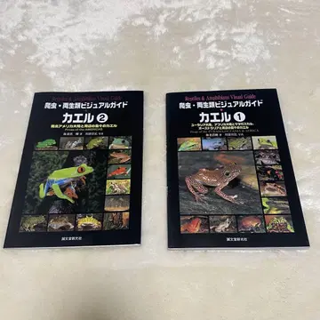 파충류 양서류 비주얼 가이드 개구리 1 2 세트