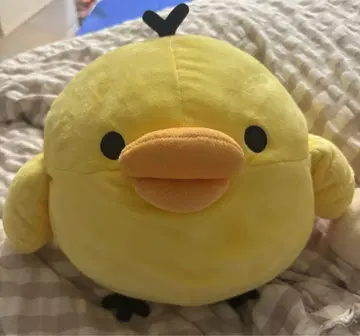 리락쿠마 키이로이토리 봉제 인형
