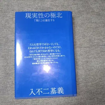 현실성의 극북: [현실에]는 편재한다
