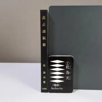 역점 투시술 츠루켄슈 저