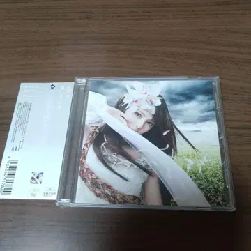 alan / 바람을 향하여
