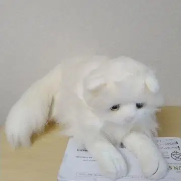 쇼와 레트로 아반세 샴 고양이 봉제 인형 당시 희귀 빈티지 레트로
