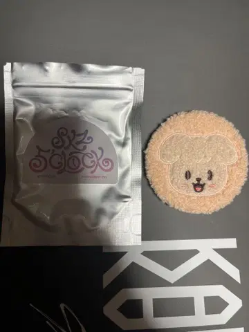 straykids 스키즈 팬미팅 뱃지 캔뱃지 승민 퍼핌 파핌