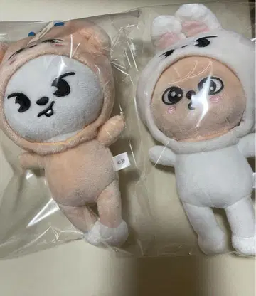 skzoo 백참 퍼핌 리 비트 TOYWORLD 묶음 판매