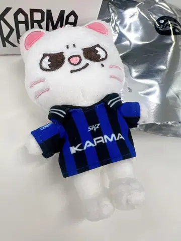 Stray Kids 스키즈 KARMA skzoo 지니렛