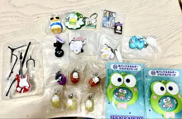 하피단부이 세트