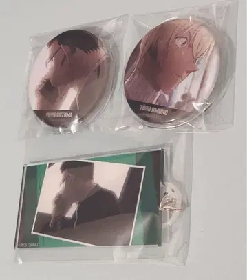 명탐정 코난: 의 잔상 엄브렐라 마커 아무로 토오루 풍견 캔뱃지