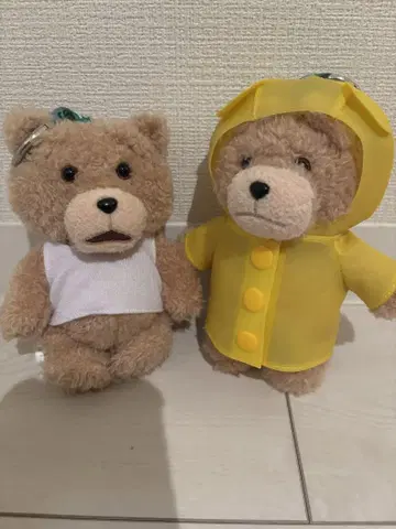 팝마트 테드2