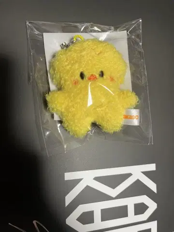 straykids 팬미팅 SKZOO 마이크로 포가리