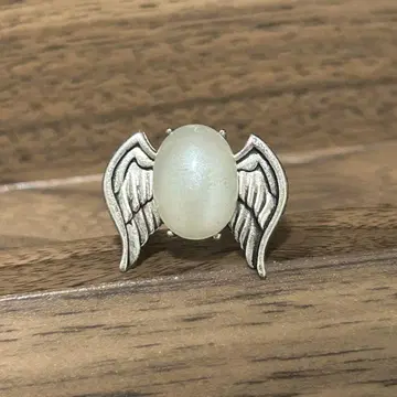 가정교사 히트맨REBORN 봉고레 반지 육조화 백란 마레링 4
