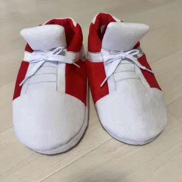 코난 룸슈즈
