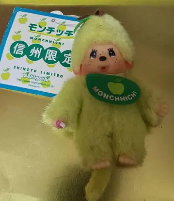 신슈 몽치치