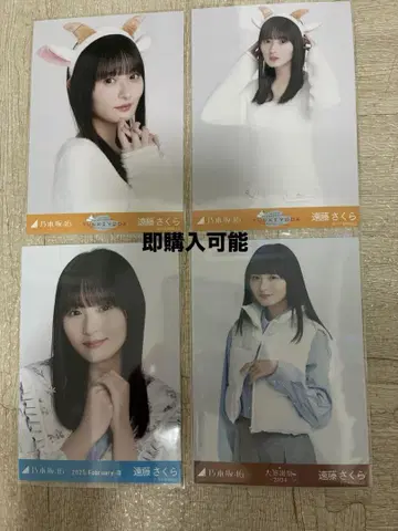 엔도 사쿠라 브로마이드 대감사 곤조 홍백