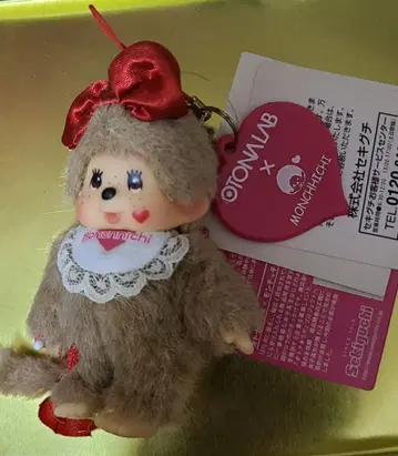 몬치치 어른 라보