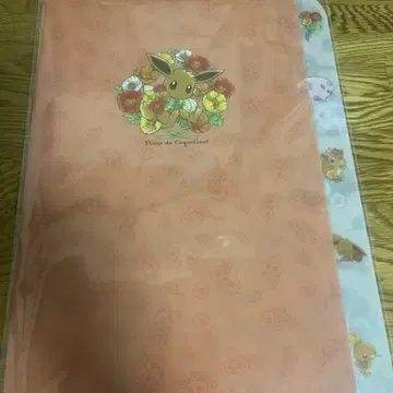 포켓몬 센터 이브이 클리어 파일 A4 사이즈