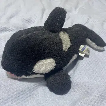 범고래 봉제 인형 카모가와 씨월드